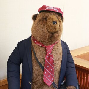 Fundraising Page: Fessy Bear